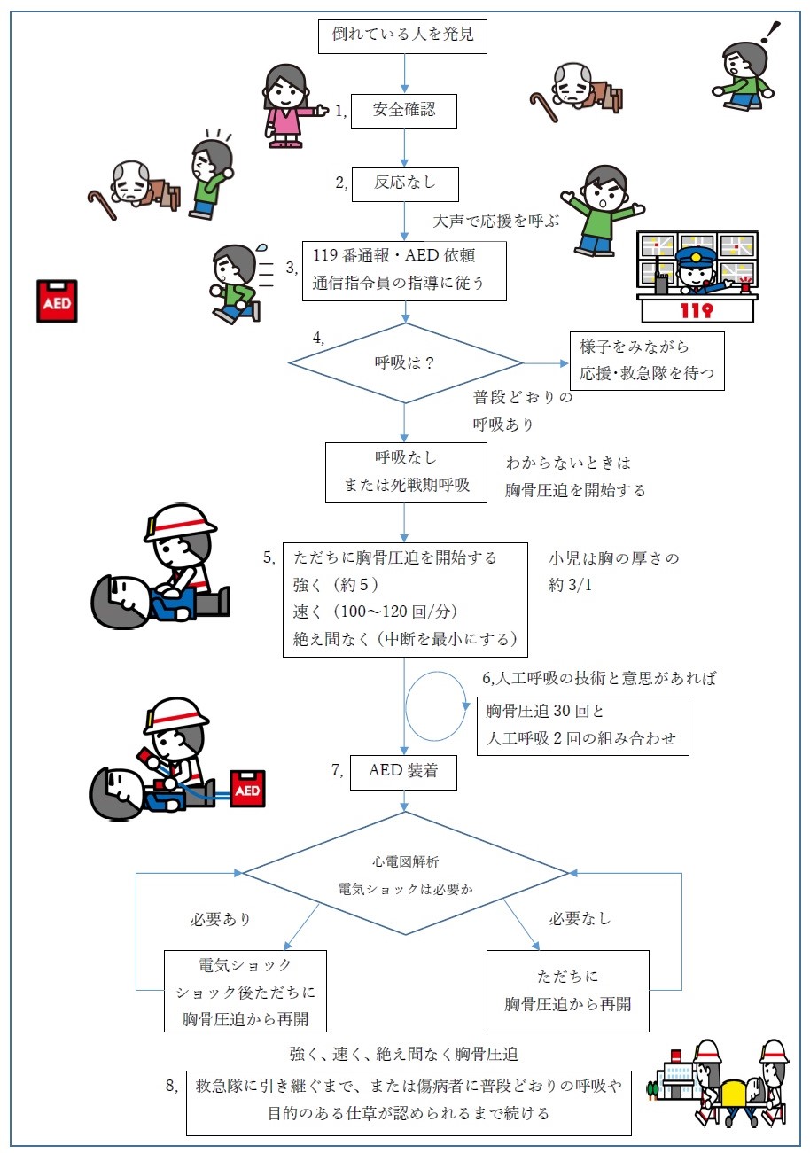 救命処置（AEDを用いた心肺蘇生法）