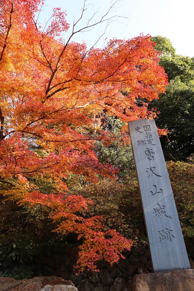 唐沢山神社の紅葉の写真