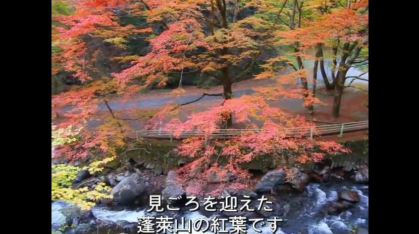 見ごろを迎えた蓬莱山の紅葉です（蓬莱山の紅葉のページへリンク）