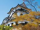 黄色に紅葉した木の後ろに建っている彦根城の写真
